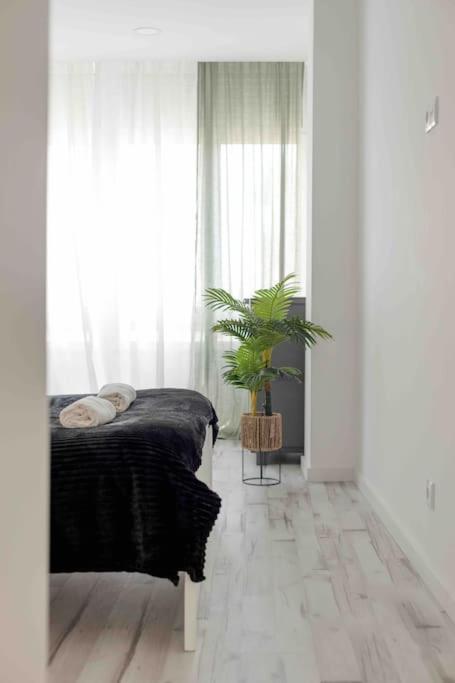 קלוז Lovely 3-Bedroom Condo W/ Free Parking On Premises מראה חיצוני תמונה